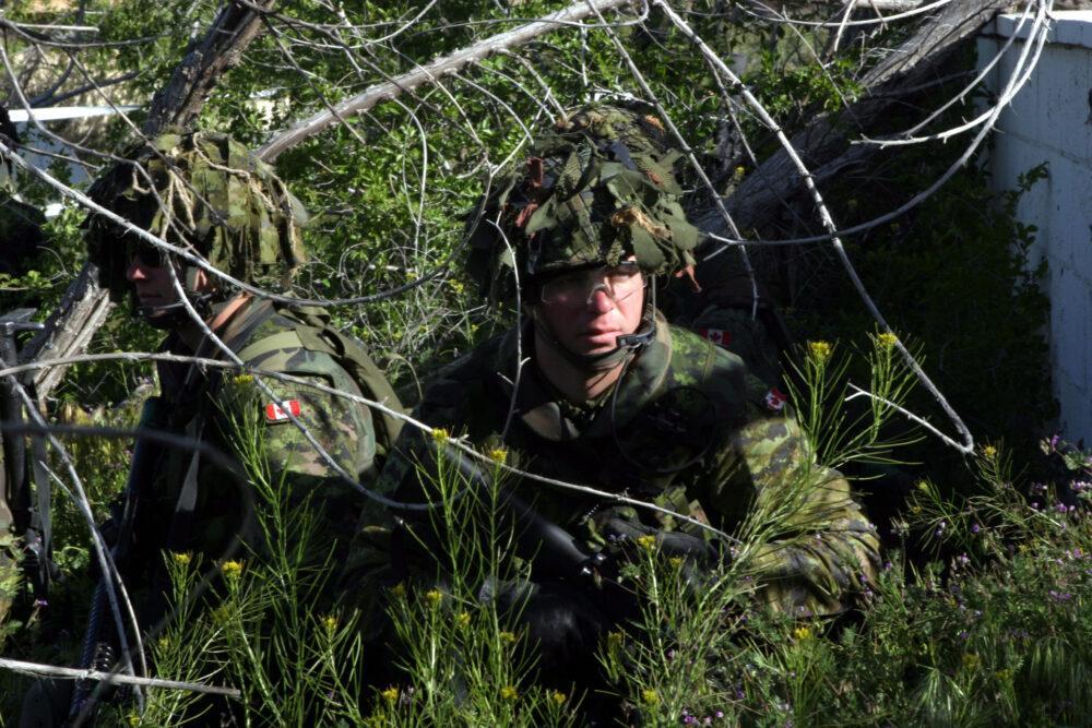 Canadian soldiers of Princess Patricia's Canadian Light Infantry in CADPAT temperate woodland