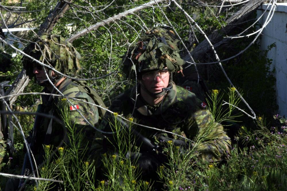 Canadian soldiers of Princess Patricia's Canadian Light Infantry in CADPAT temperate woodland