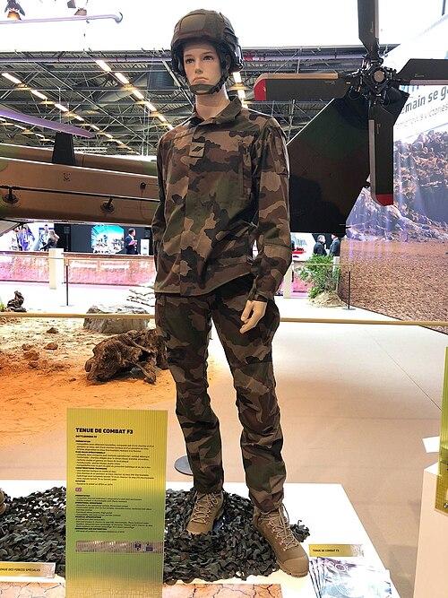 Illustration of the French Army F3 combat uniform in CCE camouflage