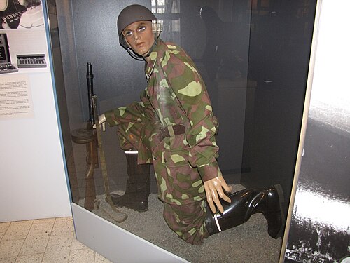 Finnish soldier wearing the M62 camouflage uniform and carrying a Suomi submachine gun.