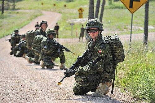 Danish Home Guard soldiers in M/84 camouflage during Golden Coyote exercise.