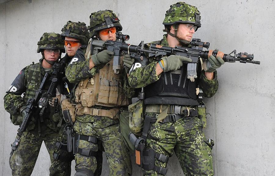 Danish military police officers in M/84 flecktarn-style camouflage during high-risk arrest training at Grafenwoehr, 2009.