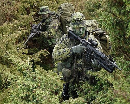 Danish SRR soldiers wearing M/84 combat uniforms with tactical gear.
