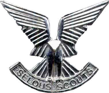 Cap badge of the Selous Scouts regiment showing a stylized eagle above the regimental scroll