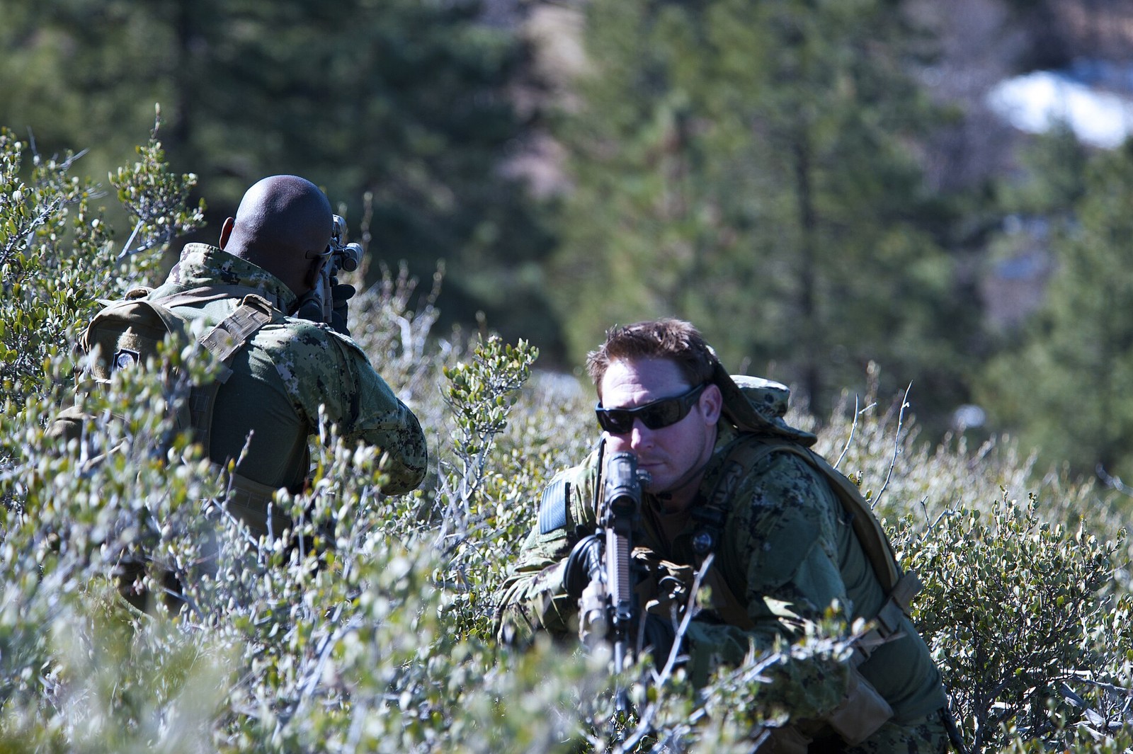 Navy SEALs in woodland digital camouflage training in mountainous terrain in January 2012