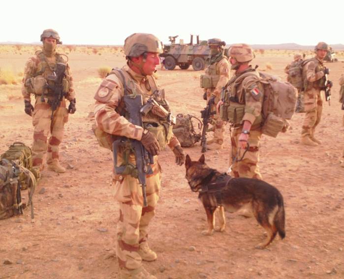 French soldiers in desert camouflage with a working dog in the Malian bush, 2017
