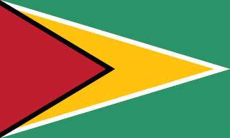Flag of Guyana