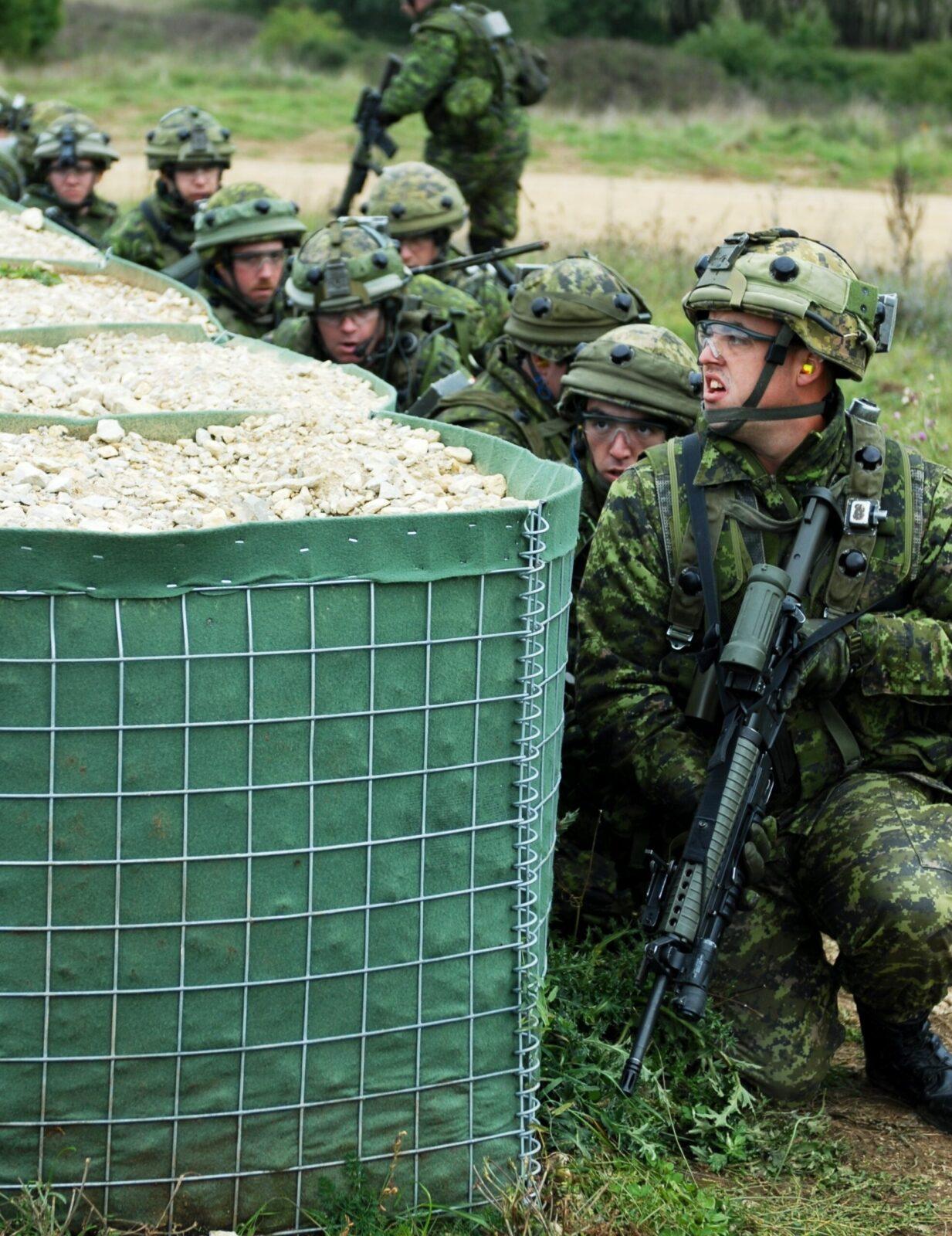 Soldiers of India Company, 2nd Battalion, The Royal Canadian Regiment, in CADPAT camouflage