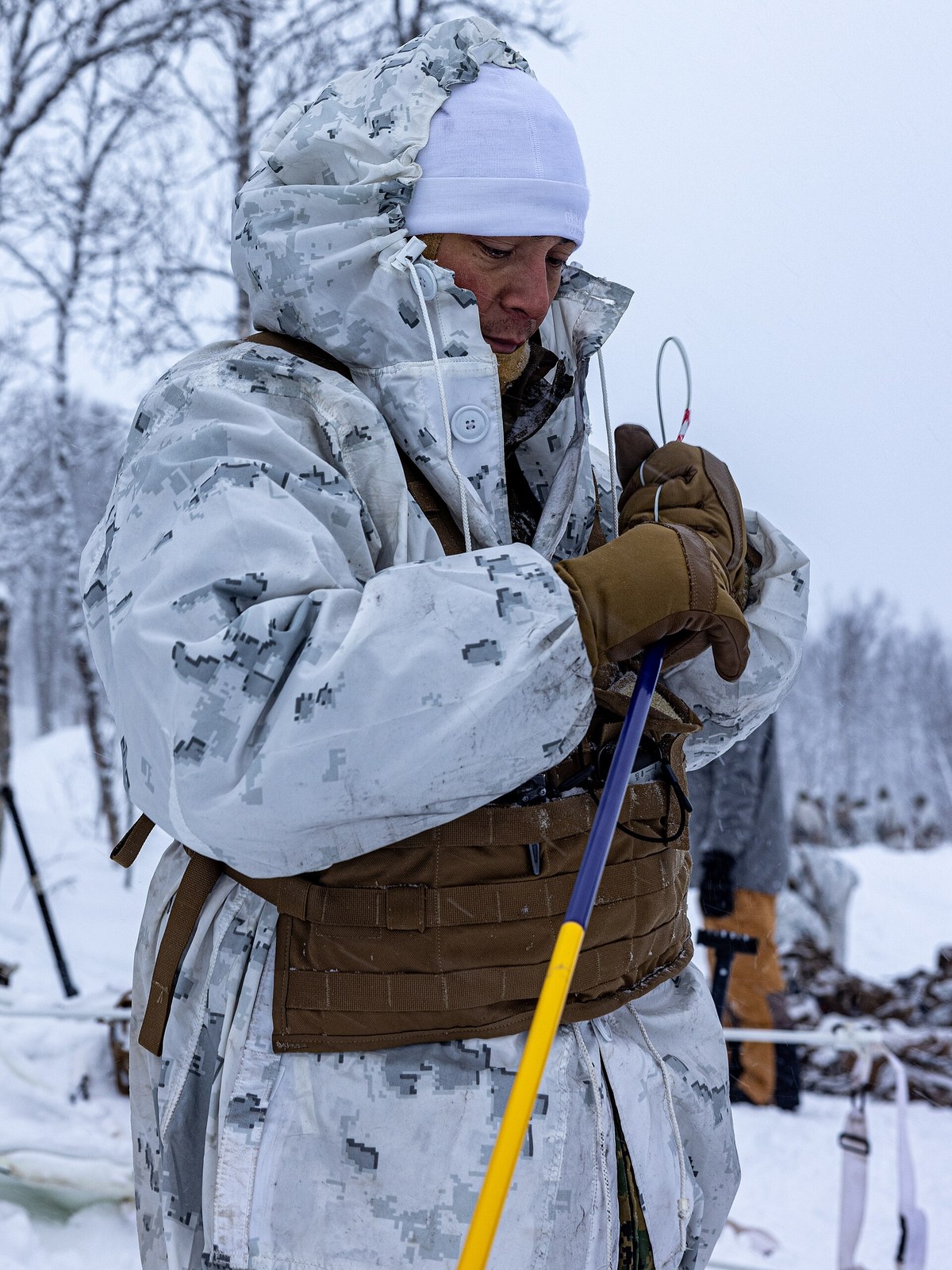 Overwhites: Snow Camouflage and the Winter Problem
